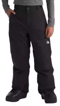 Утепленные зимние брюки The North Face для мальчиков Freedom, цвет TNF Black