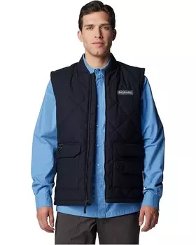 Утепленный жилет Columbia Rad Padded Vest, черный