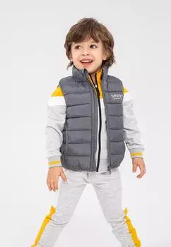 Утепленный жилет Minoti, серый