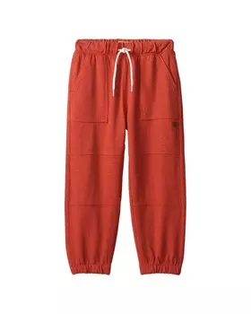 Уютные брюки Hatley Mountain, красный