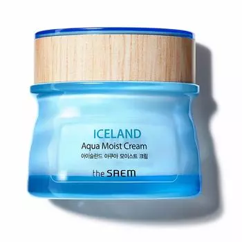 Увлажняющий крем для ухода за лицом Iceland crema The saem, 60 мл