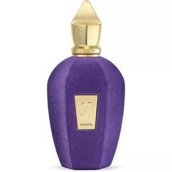 V Collection by Xerjoff Accento Парфюмированная вода-спрей 100 мл