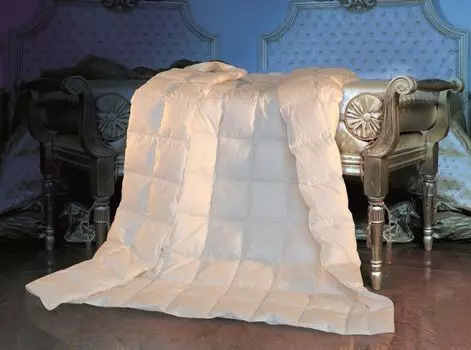 В наборе 2 замечательных летних пуховых одеяла и летних одеяла, 8 х 10, 155 х 220 см Betten Hofmann