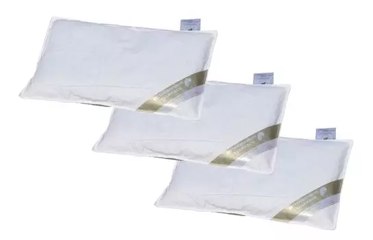 В наборе 3 детские пуховые подушки размером 40 х 60 см. Пуховые плоские подушки из 100% натурального пуха Betten Hofmann