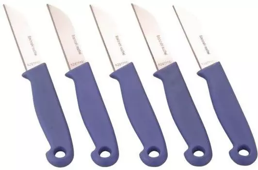 В упаковке 25 (набор 5 х 5) кухонных ножей, лезвия из нержавеющей стали (3CR13) ZHG