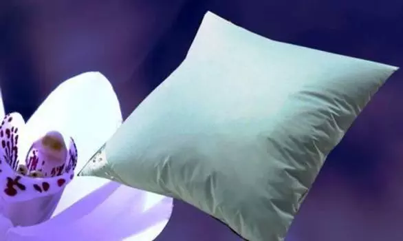 В упаковке 2 плоские подушки Canada 80х80 см. Детские подушки, пуховые подушки, приятные и мягкие Betten Hofmann