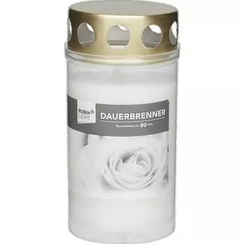 Вечнозеленый белый RUBIN LICHT, 1 шт.