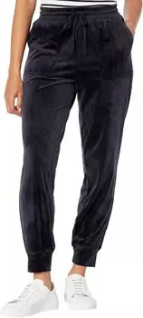 Велюровые джоггеры Splendid, темно-синий