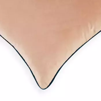 Велюровый Чехол На Подушку 40X60 Bassetti, цвет Cipria