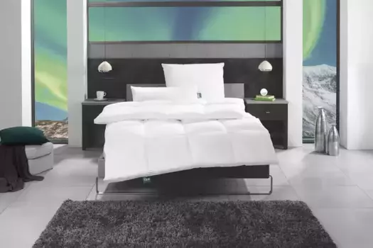 Вентилятор. Комфорт сна 3-камерная подушка "ф.а.н. Исландия", (1 стр.) F.a.n. Schlafkomfort 40х80 см, белый