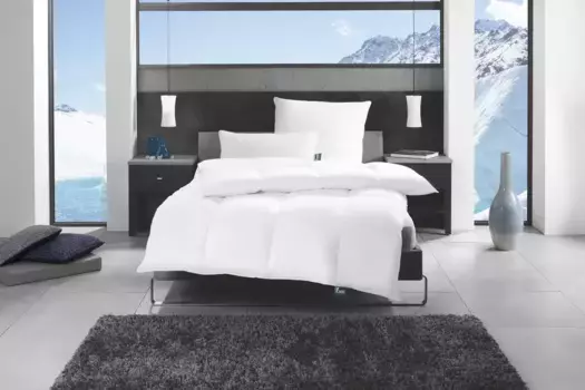 Вентилятор. Комфортная для сна подушка из гусиного пера" ф.а.н. Аляска", (1 стр.) F.a.n. Schlafkomfort 80х80 см, белый