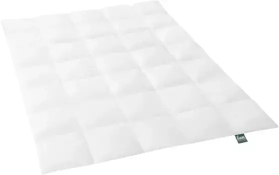 Вентилятор. Комфортное спальное одеяло из гусиного пуха "f.a.n. Аляска", обычный, (1 стр.) F.a.n. Schlafkomfort 135х200 см, белый