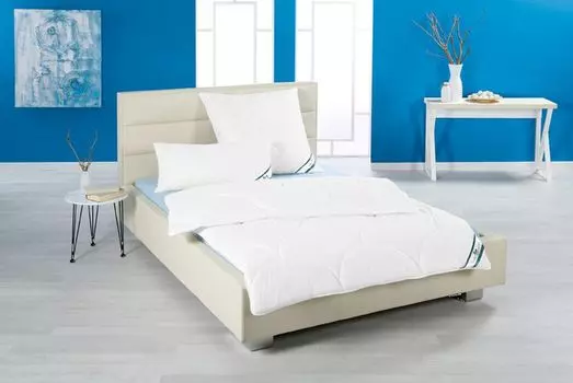 Вентилятор. Зимнее одеяло Houston duo quilt 135х200 см Frankenstolz Gute Bettwaren