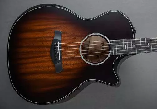 Версия для строителей 324CE Taylor Builder's Edition 324CE