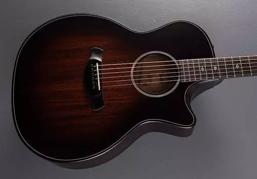 Версия для строителей 324ce Taylor Builder's Edition 324ce