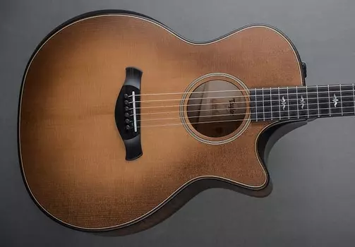 Версия для строителей 614ce Taylor Builder's Edition 614ce