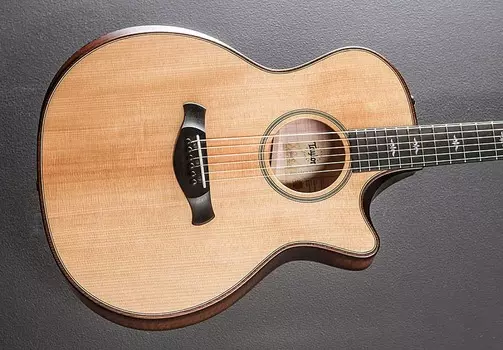 Версия для строителей 614ce Taylor Builder's Edition 614ce