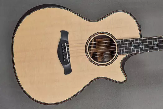 Версия для строителей 912CE Taylor Builder's Edition 912CE