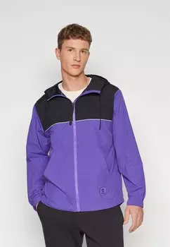 Весенняя куртка Timberland, фиолетовый