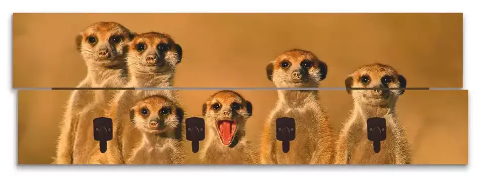 Вешалка Artland "Meerkat Family", в частично собранном виде 90х30х2,8 см, коричневый