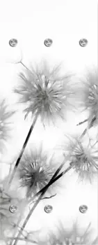 Вешалка Queence "Одуванчики", настенная вешалка, черный/белый, настенная 50х120х10 см, светло-серый