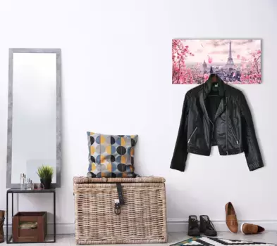 Вешалка Queence "Paris", (1 шт.), вкл. 3 крючка из нержавеющей стали и подвеску 60х30х1,5 см, розовый