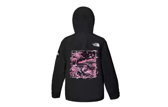 Ветровка куртка унисекс черный The North Face