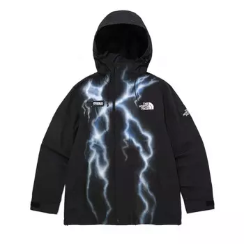 Ветровка куртка унисекс черный The North Face