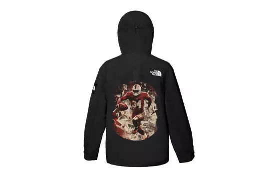 Ветровка куртка унисекс черный The North Face