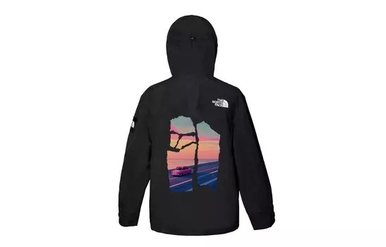 Ветровка куртка унисекс черный The North Face