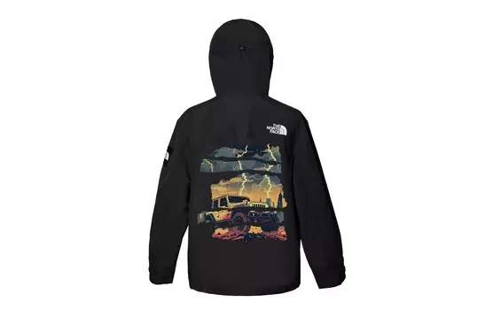 Ветровка куртка унисекс черный The North Face