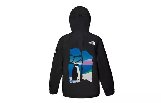 Ветровка куртка унисекс черный The North Face