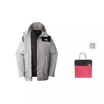 Ветровка мужская серый The North Face