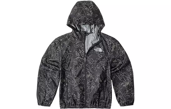 Ветровка THE NORTH FACE, серый