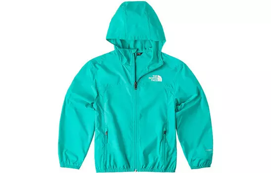 Ветровка THE NORTH FACE, синий