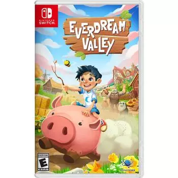 Видеоигра Everdream Valley - Nintendo Switch