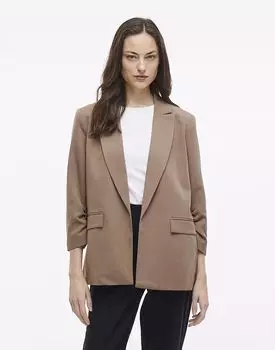 Вила Блейзер в окаменелости Vila