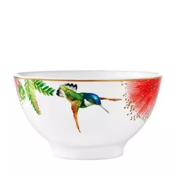 Villeroy & Boch Amazonia Anmut Чаша для риса, мультиколор