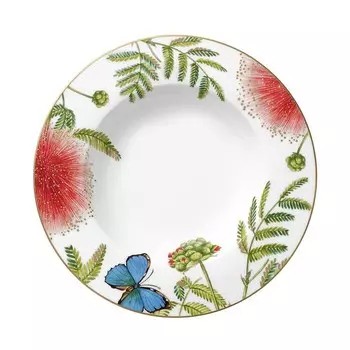 Villeroy & Boch Суповая тарелка Amazonia Anmut с бортиком, мультиколор