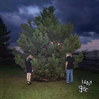 Виниловая пластинка 100 gecs - 1,000 gecs