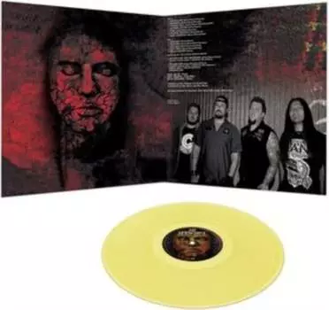 Виниловая пластинка 12 Stones - Picture Perfect