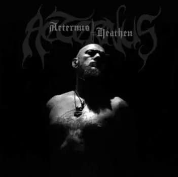 Виниловая пластинка Aeternus - Heathen