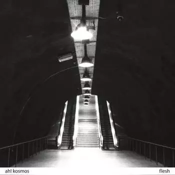 Виниловая пластинка Ah! Kosmos - Flesh