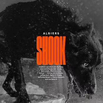 Виниловая пластинка Algiers - Shook
