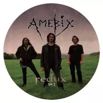 Виниловая пластинка Amebix - Redux