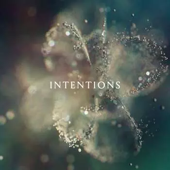 Виниловая пластинка Anna - Intentions