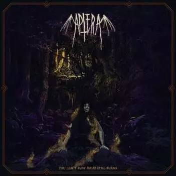 Виниловая пластинка Aptera - You Can't Bury What Still Burns