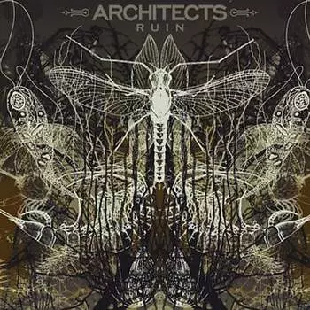 Виниловая пластинка Architects - Ruin