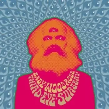 Виниловая пластинка Baby Woodrose - Third Eye Surgery