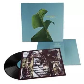 Виниловая пластинка Baird Meg - Furling